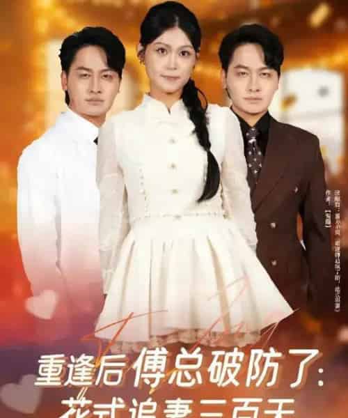 重逢后傅总破防了:花式追妻三百天(81集全)陈文川&刘舸-紫橙网创项目网