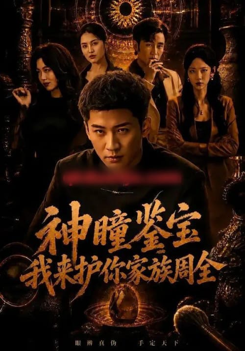 神瞳鉴宝:我来护你家族周全(67集全)苏泓奕&刘爽-紫橙网创项目网