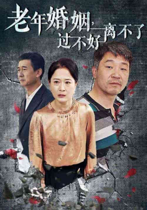 老年婚姻过不好离不了（50集全） - 紫橙阁短剧