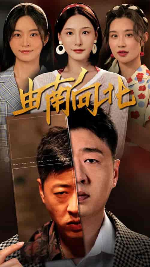 由南向北（88集）李会长 - 紫橙阁短剧