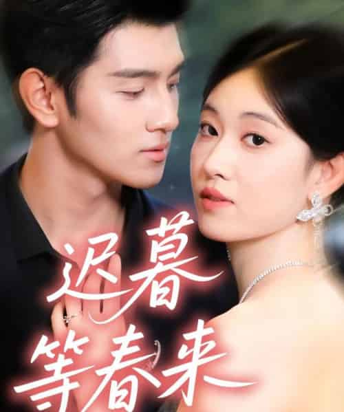 迟暮等春来(63集全)何佳妮&李隆泽-紫橙网创项目网