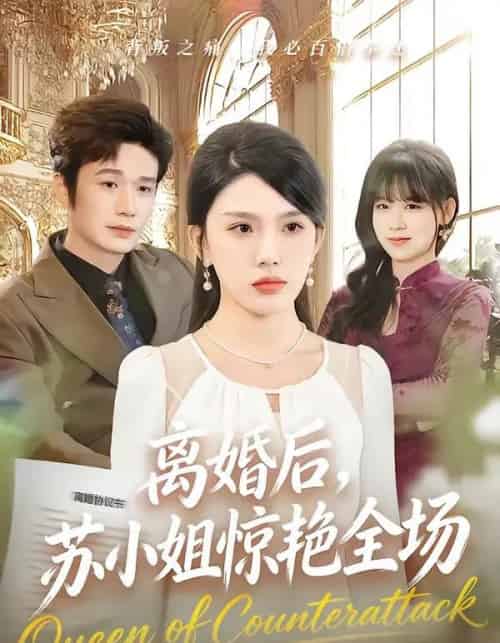 离婚后，苏小姐惊艳全场（80集全）王潇＆齐博然-紫橙网创项目网