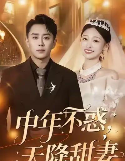 中年不惑，天降甜妻（60集全）卓颐＆阎纪圻-紫橙网创项目网