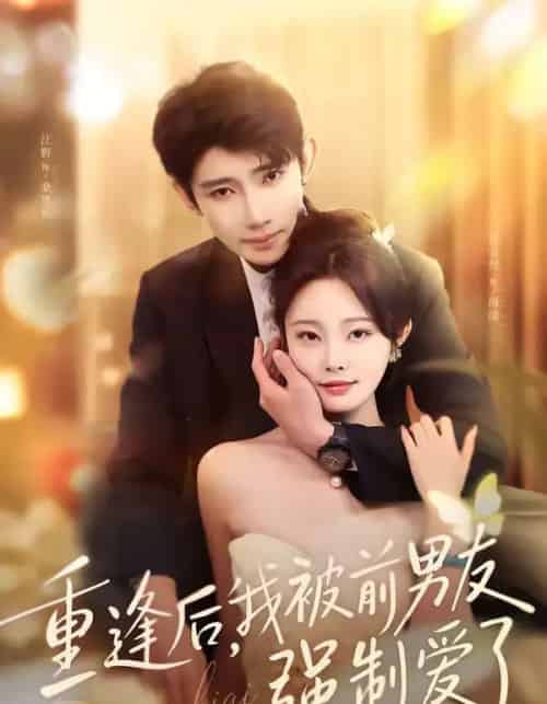 重逢后，我被前男友强制爱了（80集全）江野＆林非梵-紫橙网创项目网