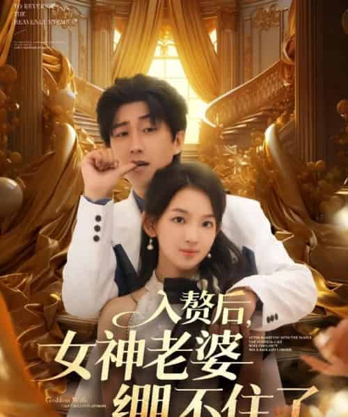 入赘后女神老婆绷不住了(88集)李云鹏&张婉悦-紫橙网创项目网