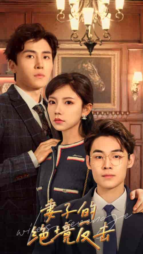 妻子的绝境反击（81集）-紫橙网创项目网