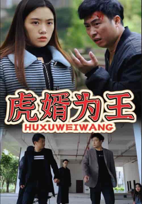 虎婿为王（90集全）杨云飞＆曾对对 - 紫橙阁短剧