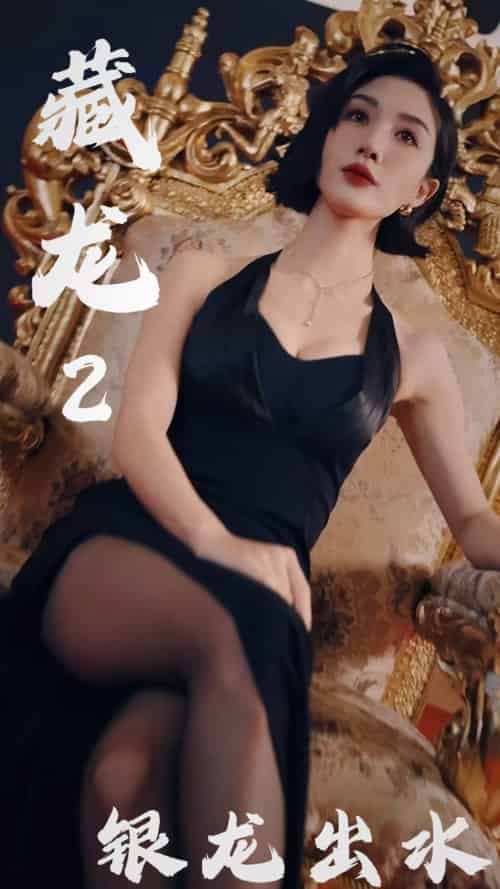 藏龙2银龙出水（35集） - 紫橙阁短剧