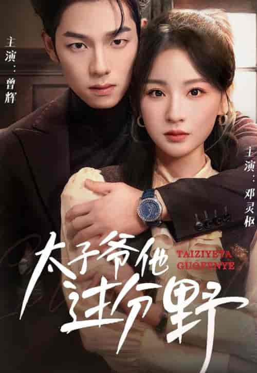 他过分野＆太子爷他过分野（73集全）曾辉＆邓灵枢 - 紫橙阁短剧
