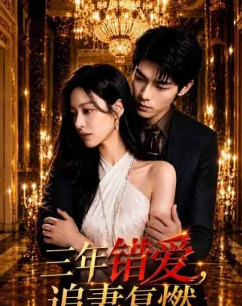 三年错爱,追妻复燃(102集全)AI-紫橙网创项目网