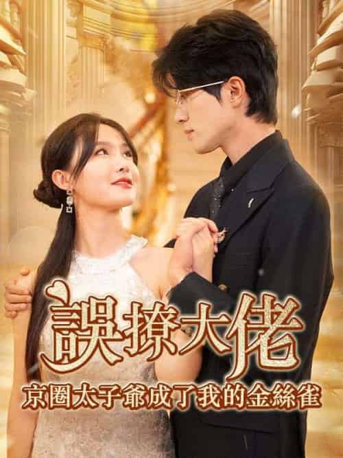 誤撩大佬，京圈太子爺成了我的金絲雀（97集全）薄靳修＆姜辭憂 - 紫橙海外短剧