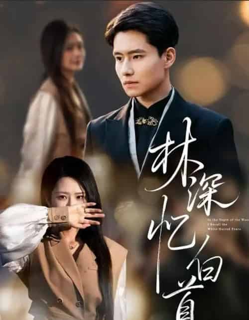 林深忆白首（60集全）张佳艺＆翟兆星-紫橙网创项目网