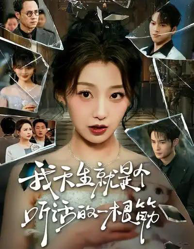 我天生就是个听话的一根筋（75集全）王倩＆孟令今-紫橙网创项目网