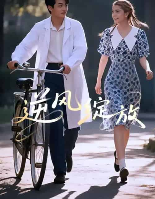 逆风绽放（55集全）迪娜DeNa＆周煜枫＆瓦日斯-紫橙网创项目网