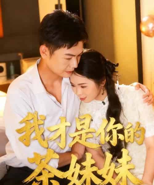 我才是你的茶妹妹（60集全）田辉＆陈文沁-紫橙网创项目网