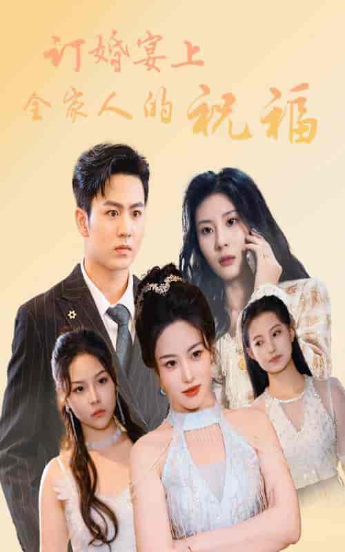 订婚宴上全家人的祝福（48集全）-紫橙网创项目网