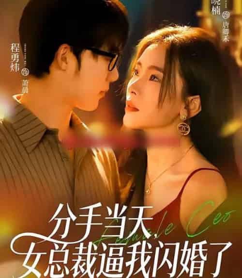 分手当天,女总裁逼我闪婚了(72集全)张晓楠&程勇炜-紫橙网创项目网