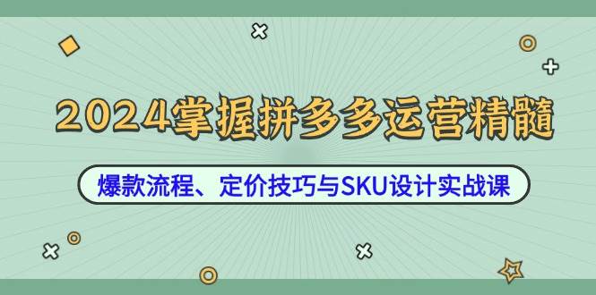 2024掌握拼多多运营精髓：爆款流程、定价技巧与SKU设计实战课 - 中创网