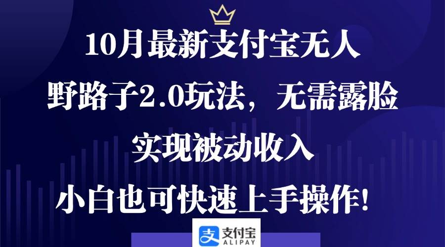 10月最新支付宝无人野路子2.0玩法，无需露脸，实现被动收入，小白也可... - 中创网