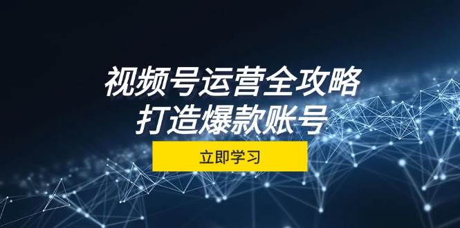视频号运营全攻略，从定位到成交一站式学习，视频号核心秘诀，打造爆款... - 中创网