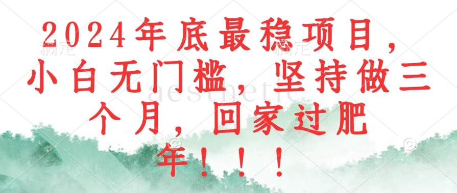 2024年底最稳项目，小白无门槛，坚持做三个月，回家过肥年！！！ - 中创网