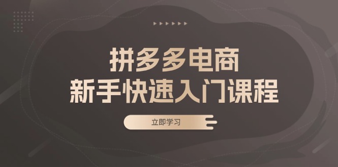 拼多多电商新手快速入门课程：涵盖基础、实战与选款，助力小白轻松上手 - 中创网