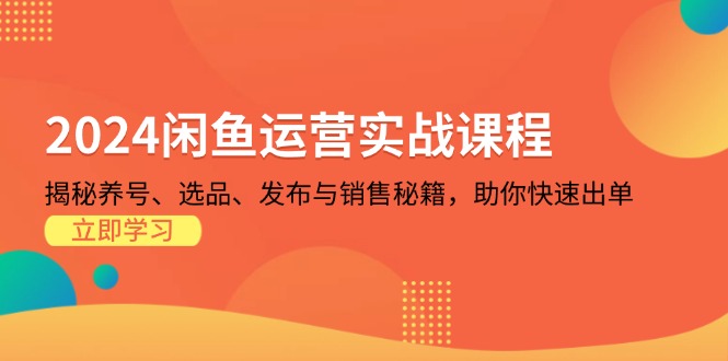 2024闲鱼运营实战课程：揭秘养号、选品、发布与销售秘籍，助你快速出单 - 中创网