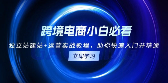 跨境电商小白必看！独立站建站+运营实战教程，助你快速入门并精通 - 中创网