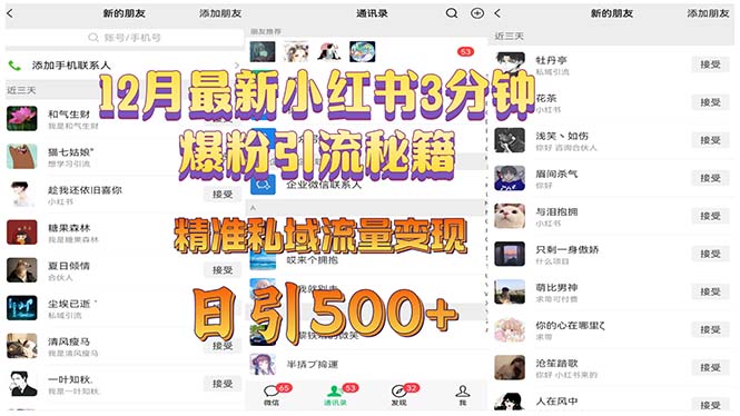12月最新小红书3分钟爆粉引流秘籍 精准私域流量变现 日引500+ - 中创网
