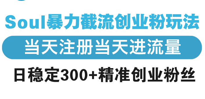 Soul暴力截流创业粉玩法，当天注册当天进流量，日稳定300+精准创业粉丝 - 中创网