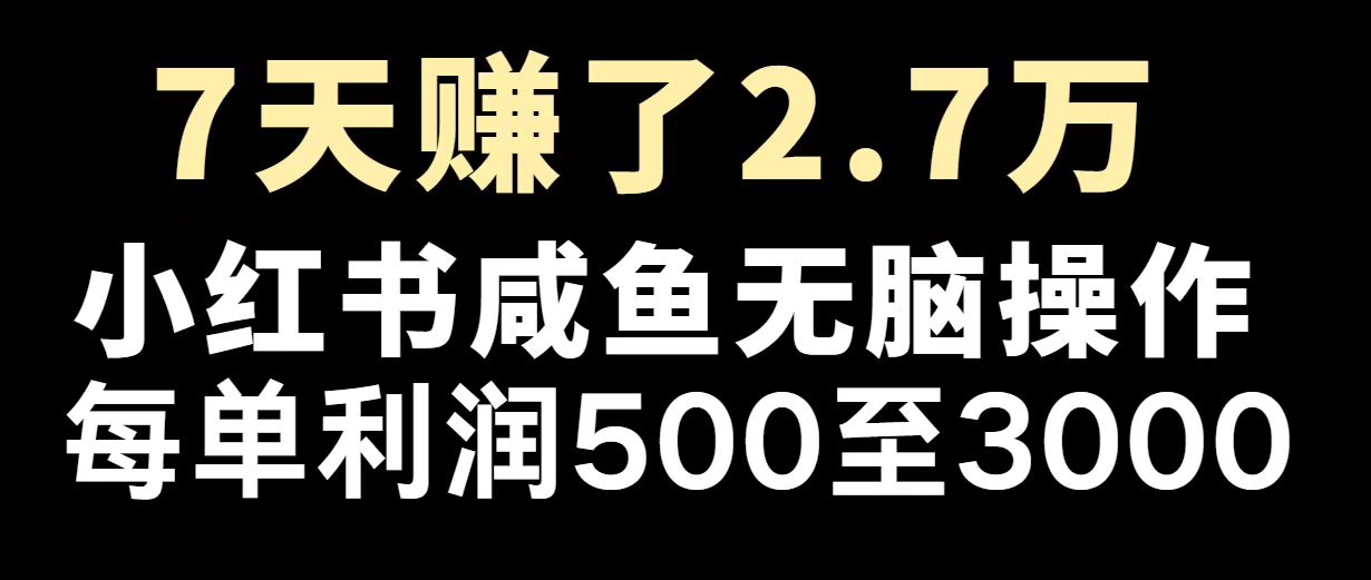 最赚钱项目之一，2025爆火，逆风翻盘！ - 中创网