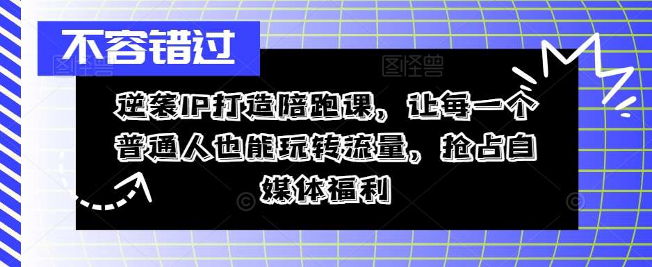 逆袭IP打造陪跑课，让每一个普通人也能玩转流量，抢占自媒体福利 - 冒泡网赚