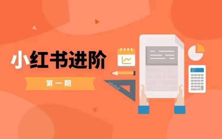 小红书进阶篇，零基础小白实战课，普通人变现的课程 - 冒泡网赚