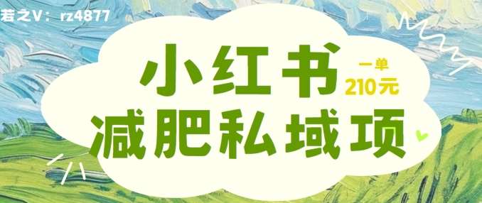 小红书减肥粉，私域变现项目，一单就达210元，小白也能轻松上手【揭秘】 - 冒泡网赚