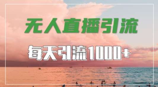 抖音快手视频号全平台通用，无人直播引流法，超暴力引流1000+高质量精准创业粉【揭秘】 - 冒泡网赚