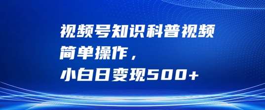 视频号知识科普视频，简单操作，小白日变现500+【揭秘】 - 冒泡网赚