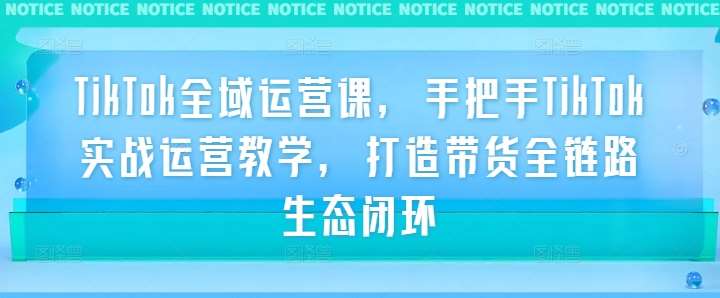 TikTok全域运营课，手把手TikTok实战运营教学，打造带货全链路生态闭环 - 冒泡网赚
