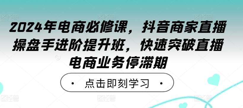 2024年电商必修课，抖音商家直播操盘手进阶提升班，快速突破直播电商业务停滞期 - 冒泡网赚