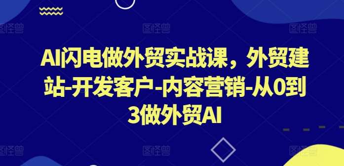 AI闪电做外贸实战课，​外贸建站-开发客户-内容营销-从0到3做外贸AI（更新） - 冒泡网赚