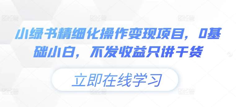 小绿书精细化操作变现项目，0基础小白，不发收益只讲干货 - 冒泡网赚