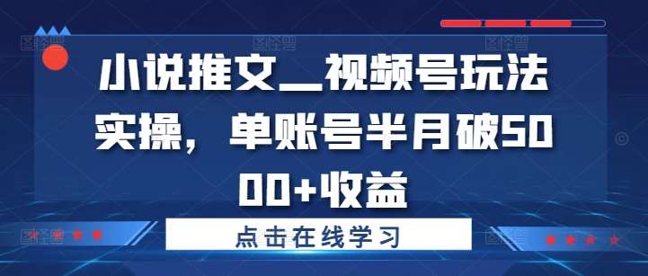 小说推文—视频号玩法实操，单账号半月破5000+收益 - 冒泡网赚