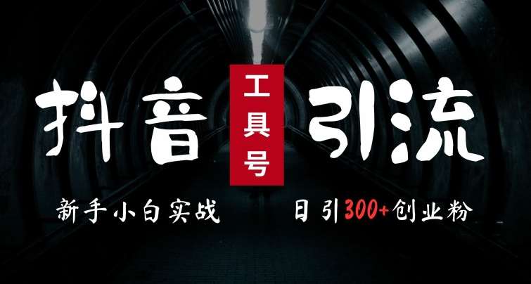 2024最新抖音工具号引流玩法，高效日引300+创业粉，当天变现5k，小白也可成为实战高手 - 冒泡网赚