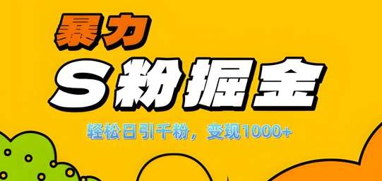 单人单机日引千粉，变现1k+，S粉流量掘金计划攻略【揭秘】 - 冒泡网赚