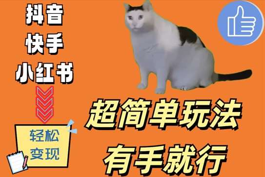 超简单玩法，有手就行，靠猫咪视频日入500+【揭秘】 - 冒泡网赚