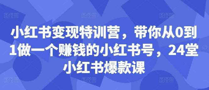 小红书变现特训营，带你从0到1做一个赚钱的小红书号，24堂小红书爆款课 - 冒泡网赚