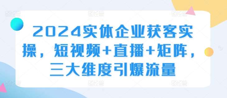 2024实体企业获客实操，短视频+直播+矩阵，三大维度引爆流量 - 冒泡网赚