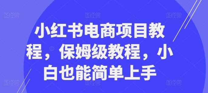 小红书电商项目教程，保姆级教程，小白也能简单上手 - 冒泡网赚