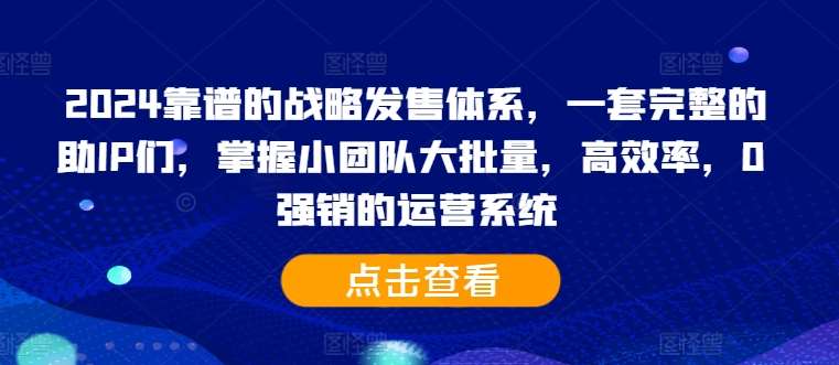 2024靠谱的战略发售体系，一套完整的助IP们，掌握小团队大批量，高效率，0 强销的运营系统 - 冒泡网赚