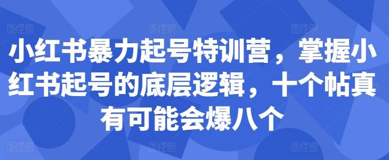 小红书暴力起号特训营，掌握小红书起号的底层逻辑，十个帖真有可能会爆八个 - 冒泡网赚