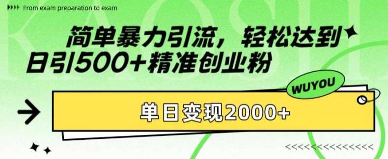 简单暴力引流，轻松达到日引500+精准创业粉，单日变现2k【揭秘】 - 冒泡网赚